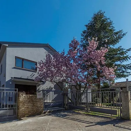 Tatil Evi House Magnolia